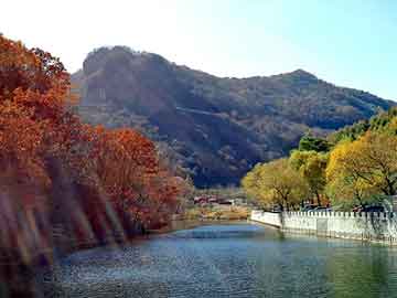 管家婆黑白马报图库，丰田花冠召回